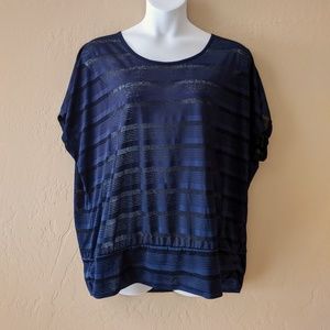 Lane Bryant Navy Blue Sheer Tunic Top 22/24